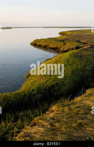 Salzwiesen im Frühjahr.  Strawberry Hill Preserve in Ipswich, Massachusetts.  Eagle Hill River.  Gezeiten-Fluss. Stockfoto