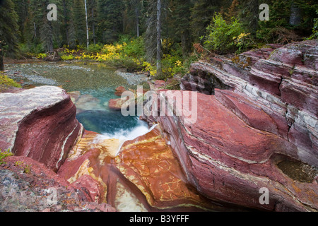 Totholz fällt auf Reynolds Creek im Herbst im Glacier Nationalpark in Montana Stockfoto