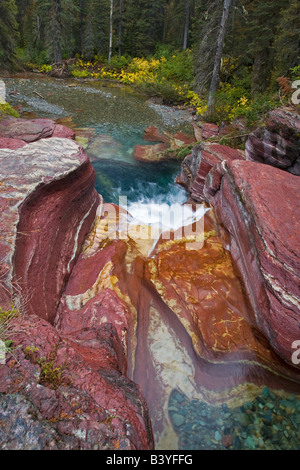 Totholz fällt auf Reynolds Creek im Herbst im Glacier Nationalpark in Montana Stockfoto