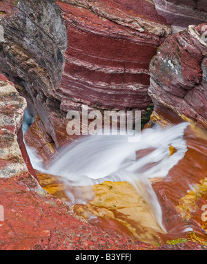 Totholz fällt auf Reynolds Creek im Herbst im Glacier Nationalpark in Montana Stockfoto