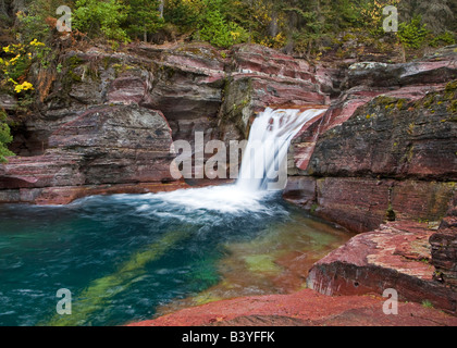 Totholz fällt auf Reynolds Creek im Herbst im Glacier Nationalpark in Montana Stockfoto