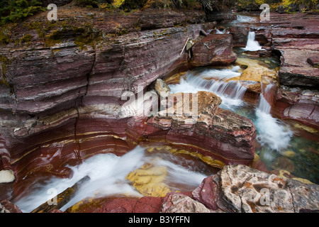 Totholz fällt auf Reynolds Creek im Herbst im Glacier Nationalpark in Montana Stockfoto