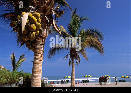 Mit einem feinen Sandstrand und entspannte Atmosphäre, die Fischerei Dorf Mancora im Norden von Peru ein beliebter Zufluchtsort für peruanische Urlauber geworden. Stockfoto