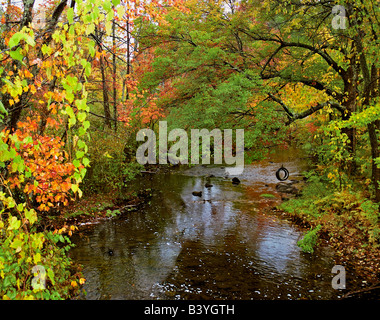 USA, New York. Reifenschaukel hängt vom Ast über Brant Creek mitten in herbstlichen Farben. Stockfoto