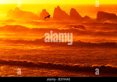 USA, Oregon, Bandon. Sonnenuntergang über Wellen und Meer-Stacks. Stockfoto