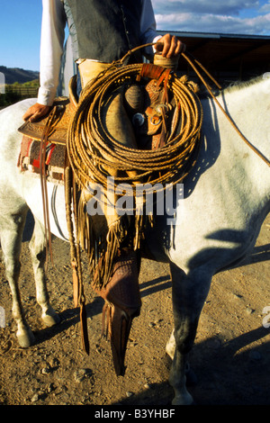 USA, Oregon, Jefferson County. Buckaroo mit Lasso bereit für Rinder Roundup. Stockfoto