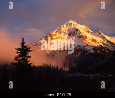 USA, Oregon, Mount Hood National Forest. Rollen Nebel bei Sonnenuntergang von Lolo Pass gesehen. Stockfoto