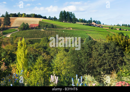 NA; USA; Oregon; Willamette Valley; Dundee; Red Hills; Domaine Drouhin Weinberg; Stockfoto