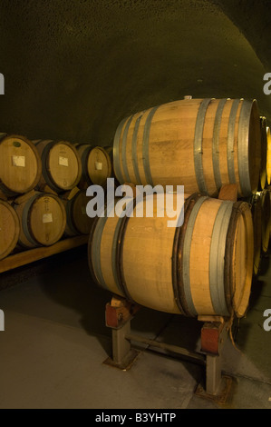 NA; USA; Oregon; Willamette Valley; Dundee; Bogenschießen-Gipfel-Weinkeller Stockfoto