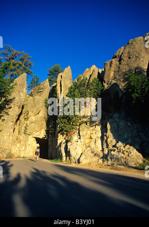 Straße Radfahren auf der Autobahn Nadeln in den Black Hills von South Dakota-Modell veröffentlicht Stockfoto