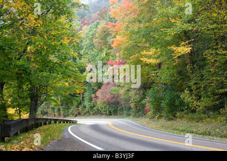 USA - Tennessee. Herbstlaub auf Newfound Gap Road im Great Smoky Mountains National Park. Stockfoto