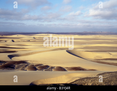 Namibia, Kunene, Skeleton Coast Park. Schönen Sanddünen durchsetzt mit Kies Gnade die steife Landschaft in einer privaten Konzession des Skeleton Coast Parks zwischen Purros und den Atlantischen Ozean. Morgens in diesem Bereich sind selten frei von Meer Nebel oder Nebel, deren Feuchtigkeit entscheidend für das Überleben der Wüste lebende Tiere und Pflanzen ist. Stockfoto