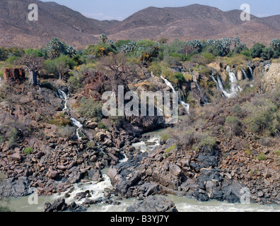 Namibia, Kaokoland, Epupa. Die attraktive Epupa-Fälle in rauen Nordwesten Namibias sind eine Reihe von parallelen Kanälen dem Kunene Fluss 60 Meter in Kilometer und eine halbe fällt. In dieser abgelegenen Region bildet der Fluss die Grenze zwischen Angola und Namibia. "Epupa" in der Landessprache Herero heißt "Falling Waters". Stockfoto