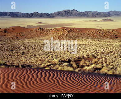 Namibia, Namib-Wüste, Wolwedans. Am frühen Morgen und am späten Nachmittag ist die Landschaft am Wolvedans, einem großen privaten Reservat am Rande der Namib-Naukluft-Park, atemberaubend schön. Gemustert durch den Wind, die Dünen variieren von ziegelrot mit Aprikose und Farbe mit dem Winkel der Sonne für immer verändern. Zerklüftete Bergketten hinzu kommt der Reiz dieser unberührten Wildnis. Stockfoto