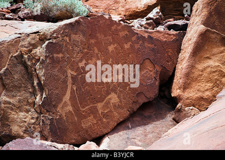 Namibia, Kaokoveld, Felsgravuren bei Twyfelfontein, Namibia. Es gibt mehr als 12000 Gemälde und Stiche bei Twyfelfontein aus mehr als 6000 Jahre, so dass es eines der größten Felsbilder in Afrika. Stockfoto