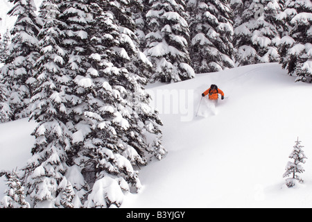 Ein Mann Ski Pulver in eine offene Lichtung Bäume Stockfoto