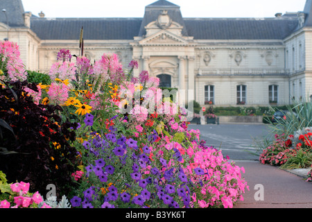 STÄDTISCHE ANNEHMLICHKEIT ANPFLANZUNGEN IN LOCHES INDRE ET LOIRE 37 MIT CLEOME HASSLERIANA RUDBECKIA HIRTA PETUNIEN FRAMEWORKS UND LAMPENPUTZERGRAS Stockfoto