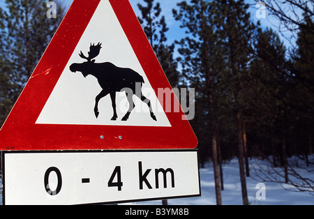 Vorsicht Elche über Verkehrszeichen, Alta, Polarkreis, Nord-Norwegen Stockfoto