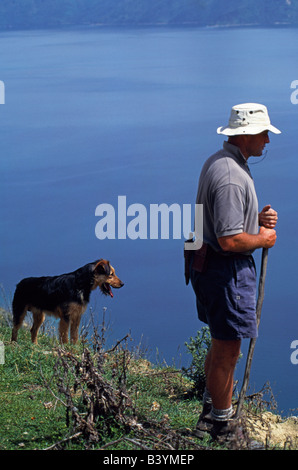 Neuseeland, Südinsel, Marlborough Sounds. Brian Brackenridge Pfeifen seinen Hunden während der Musterung seine Schafe aus dem steilen Stockfoto