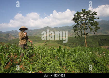 Ein Bauer auf einem Hügel im Norden Vietnams Stockfoto