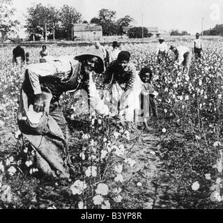 Geografie/Reisen, USA, Menschen, Afroamerikaner, die Baumwolle pflücken, American South, Ende des 19. Jahrhunderts, Stockfoto