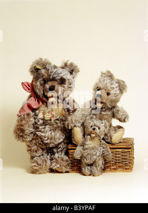 Spielwaren, Teddybären, Teddy-Familie Von Steiff, 1940Er Jahre, 40Er Jahre,  Historisch, Historische, Bär, Bären, Spielzeug, Spielzeug Stockfotografie -  Alamy