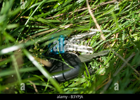 Ein Haufen Schlüssel fiel und verlor im Gras. Stockfoto