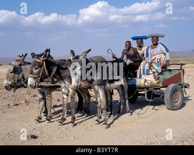 Namibia, Damaraland, Palmwag. Ein Herero-Mann und zwei Frauen fahren Sie nach Hause in einem Eselskarren. Die aufwändige Kleider und einzigartigen Hut Stile der Herero-Frauen können auf deutsche Missionare des 19. Jahrhunderts zurückführen, die Ausnahme, was sie eine unbescheidene Form von Kleid unter dem Stamm als nahm. Sie bestand darauf, dass die Herero Frauen ihre eigenen unpraktisch Stil der viktorianischen Kleider anzunehmen. Im Laufe der Jahre entstanden bunte Kleidern der Herero als enorme Krinolinen über fünf Unterröcken getragen. Stockfoto