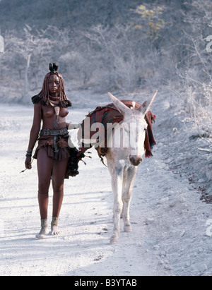 Namibia, Kaokoland, Empembe. Nach dem Besuch ein Marktzentrum, zu Hause ein junger Himba Frau fährt ihren Esel auf staubigen weißen Spuren Stockfoto