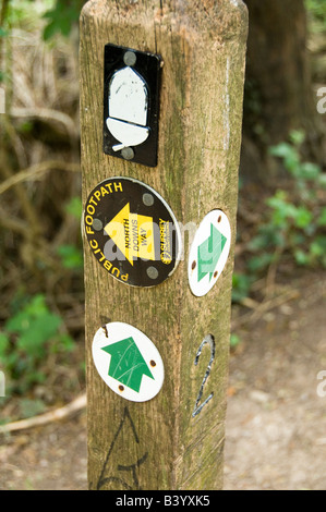 Richtungen für Spaziergänger und Wanderer in Surrey, Großbritannien Stockfoto