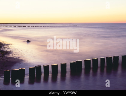 Barriere aus Holzstangen im Meer in der Nähe von Strand Stockfoto