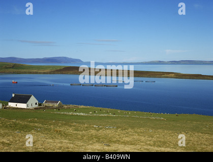 dh Norquay Fish Farm ORKNEY LACHS ORKNEY Gunda Fischkäfige Scapa Flow Farming schottland ländliches Haus uk Cottage by Sea schottische Inseln Stockfoto