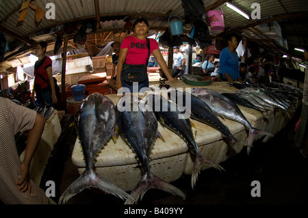 Nicht identifizierte Thunfisch für Verkauf in einem Bali s Märkte Stockfoto