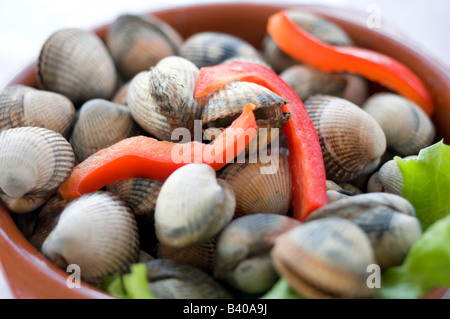 frische Herzmuscheln mit Gemüse bereit, Kochen Stockfoto