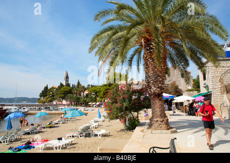 Strand auf der Insel Lopud in der Nähe von Dubrovnik, Kroatien, Osteuropa Stockfoto