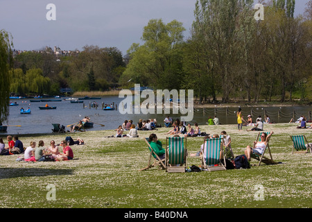 Liegestühle & Sonnenbaden im Regents Park London GB UK Stockfoto