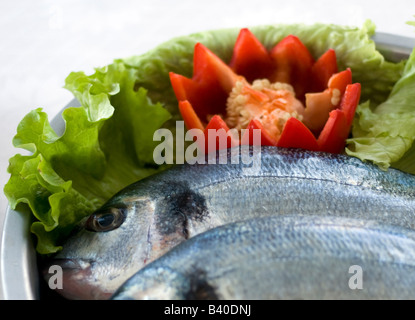 Bass Fisch mit Gemüse bereit, Kochen Stockfoto