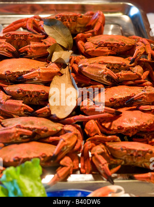 Nahaufnahme von frischen suul Krabben bereit, Kochen Stockfoto