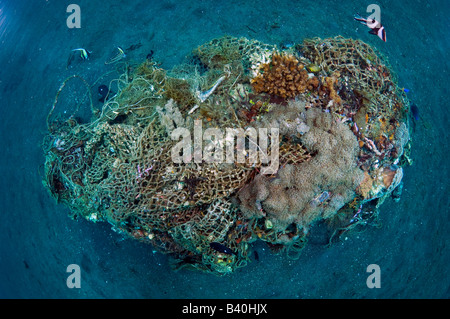 Korallen und Unterwasserwelt langsam zu recyceln und verwandeln Menschen verursachten Müll und Schutt in kleine künstliche Riffe in Lembeh, Indonesien Stockfoto