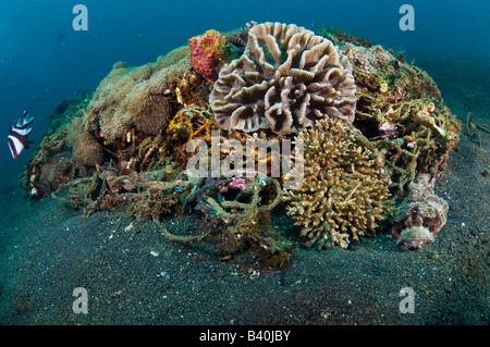 Korallen und Unterwasserwelt langsam zu recyceln und verwandeln Menschen verursachten Müll und Schutt in kleine künstliche Riffe in Lembeh, Indonesien Stockfoto