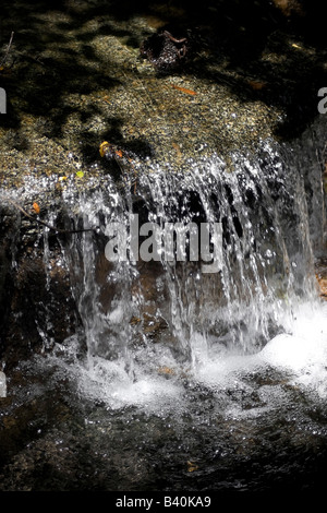 Ein schöner kleiner Wasserfall-Abschnitt eines fließenden Baches Stockfoto