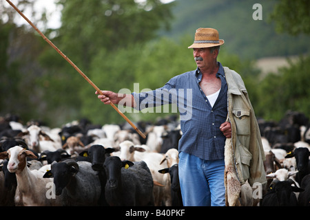 Santino, ein umbrischen Schäfer mit seiner Herde in der Nähe von Campi, Valnerina, Umbrien, Italien Stockfoto