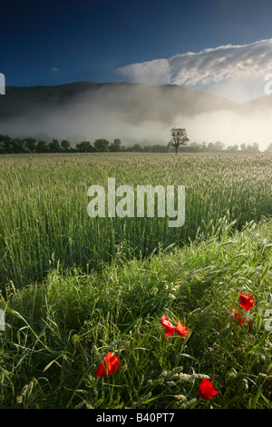 Nebel liegt auf den Feldern rund um Campi in der Valnerina Nationalpark Monti Sibillini, Umbrien, Italien Stockfoto