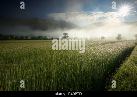 Nebel liegt auf den Feldern rund um Campi in der Valnerina Nationalpark Monti Sibillini, Umbrien, Italien Stockfoto