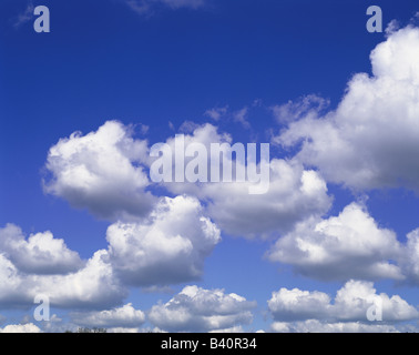Geschwollene weiße Wolken gegen lebendige blauen Himmel Stockfoto