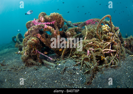 Korallen und Unterwasserwelt langsam zu recyceln und verwandeln Menschen verursachten Müll und Schutt in kleine künstliche Riffe in Lembeh, Indonesien Stockfoto