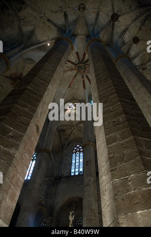 Església de Santa Maria del Pi; Kirche St. Maria von der Kiefer-Barcelona-Spanien Stockfoto