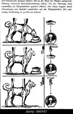 Pawlow, Iwan, 14.1.1849 - 27.2.1936, russischer Physiologe, Versuchsanordnung, Pavlovs Hund, Zeichnung, Hund, Tierversuch, Reflex, Konditionierung, Iwan, Pavlov, Forschung, Wissenschaft, Lernen, Serie von Experiment, Impuls, Verhalten, Stockfoto