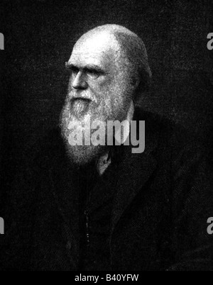 Darwin, Charles Robert, 12.2.1809 - 19.4.1882, britischer Naturforscher, Porträt, Holzgravur, nach A. Krausse, 19. Jahrhundert, Stockfoto