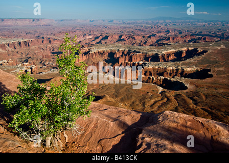 USA, Utah, Canyonlands NP. Blick auf weiße Felge und Denkmal-Becken von Grandview Point-Aussichtspunkt auf der Insel im Bezirk Himmel Stockfoto